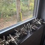 Fond Des Vaulx * Marche-en-Famenne