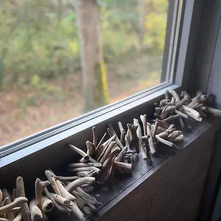 Fond Des Vaulx * Marche-en-Famenne